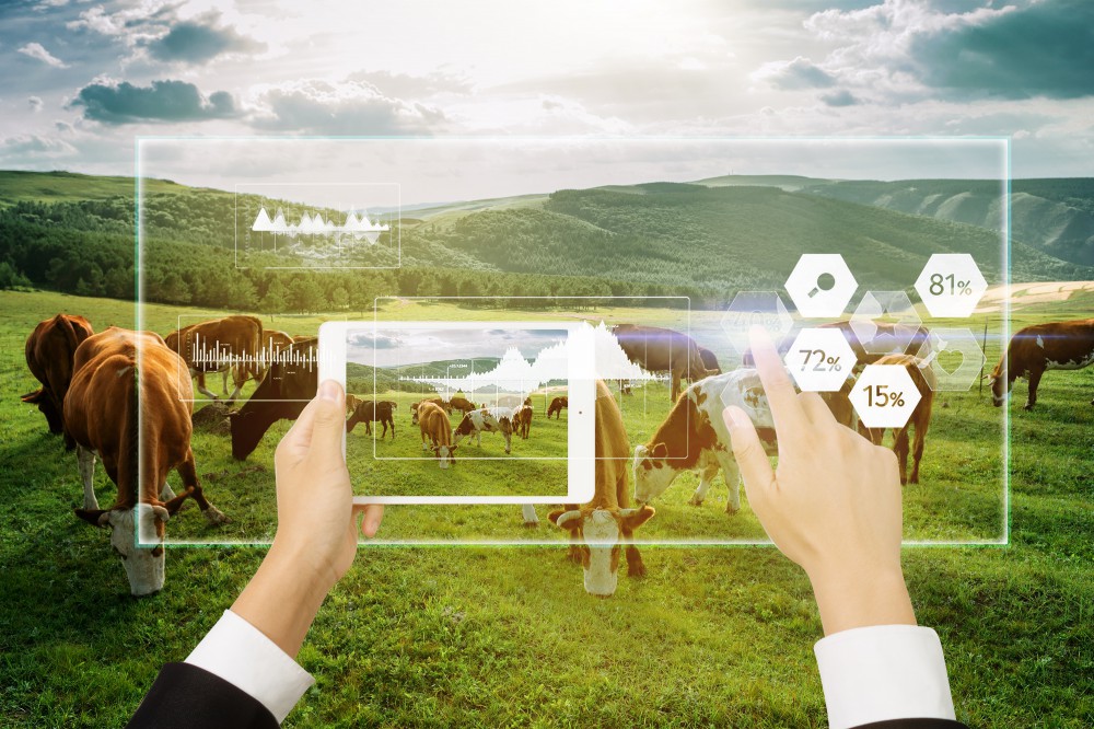 eBet官网-不凡成就非凡,相信品牌力量